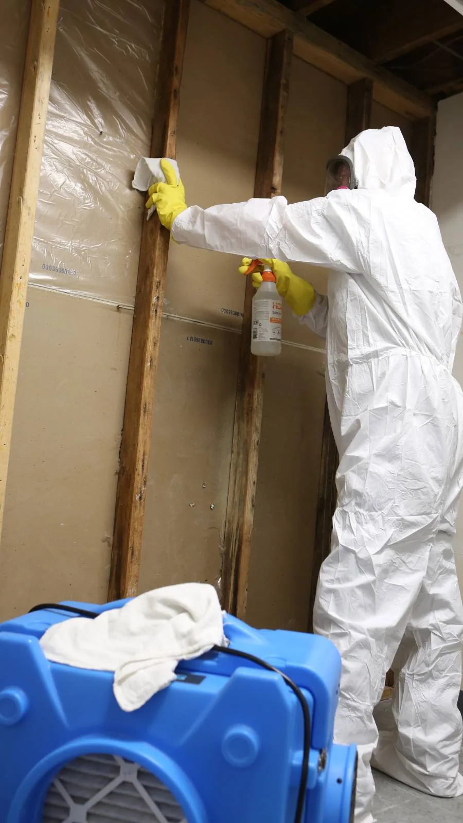 black mold removal charlotte nc