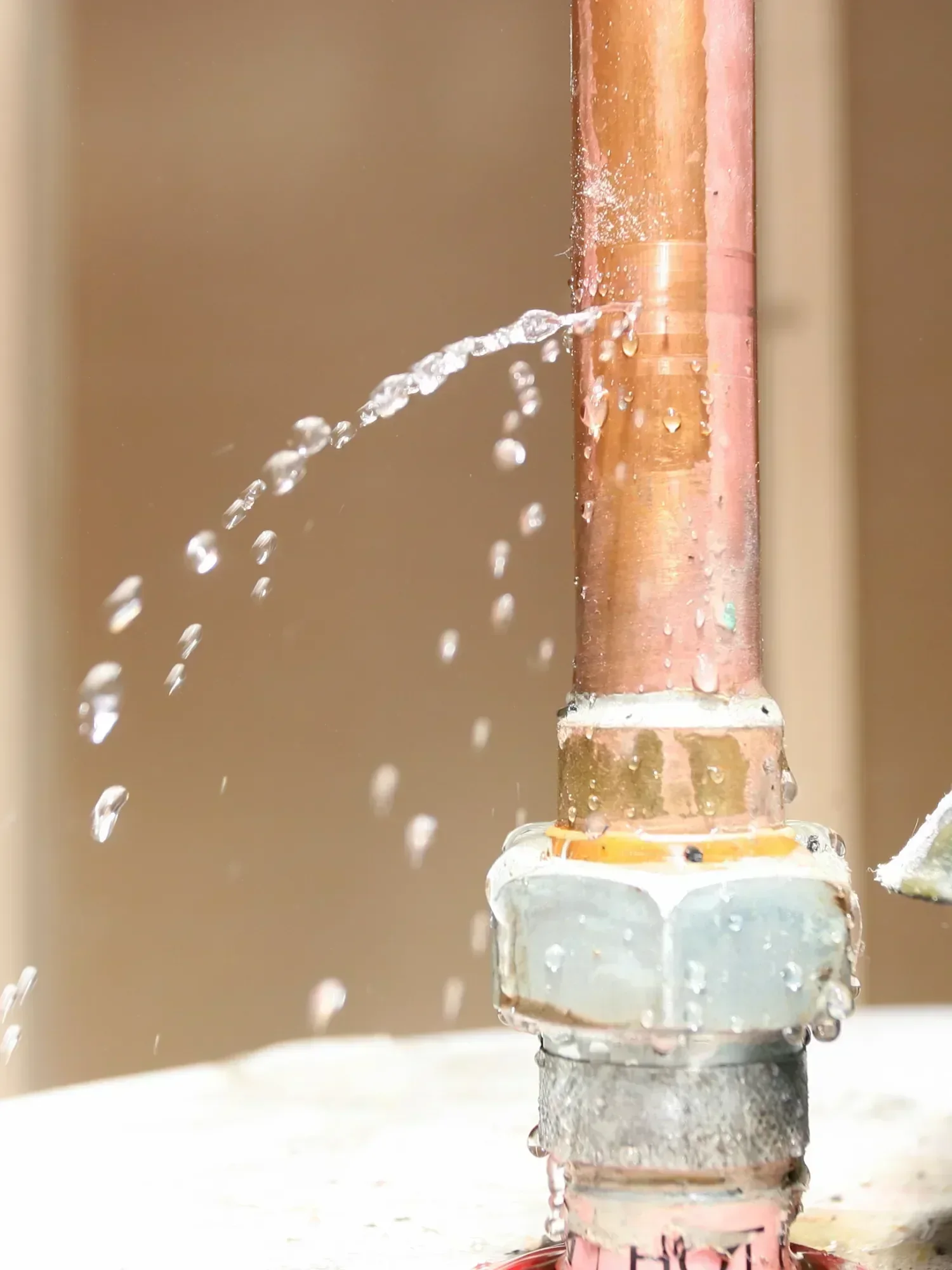 black mold inspection and testing huntersville nc