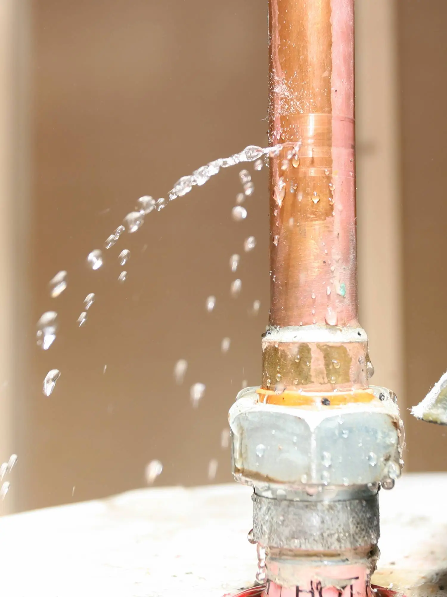 water damage cleanup experts