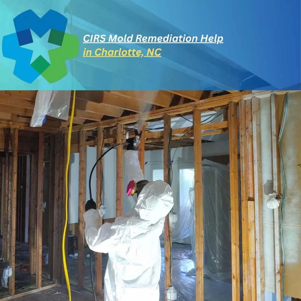 CIRS mold remediation Charlotte