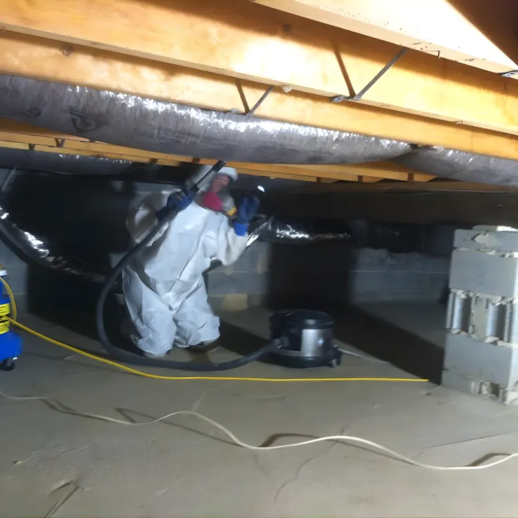 Crawl Space Mold Remediation Charlotte 2