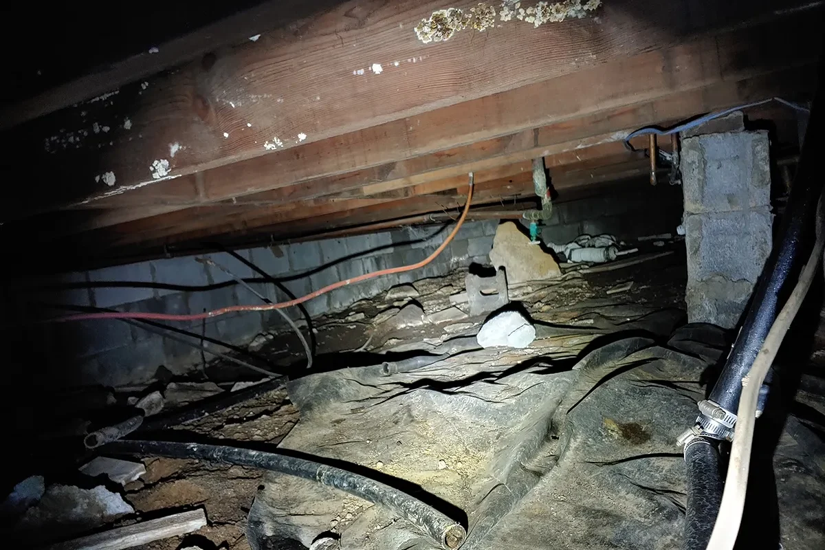 Crawl Space Mold Remediation Charlotte 4