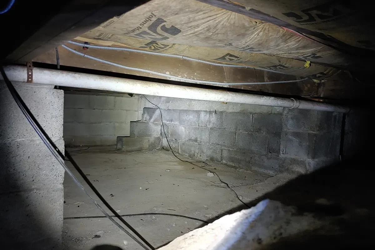 Crawl Space Mold Remediation Charlotte 5