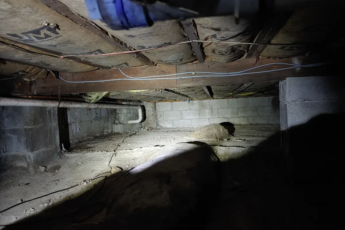 Crawl Space Mold Remediation Charlotte 6