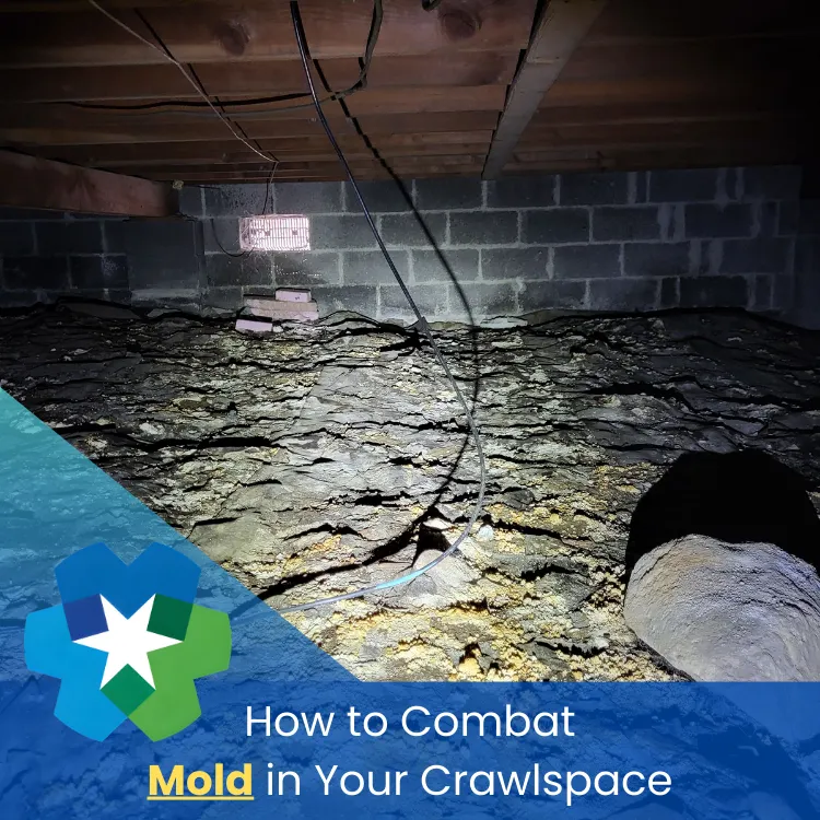 Crawl Space Mold Remediation Charlotte