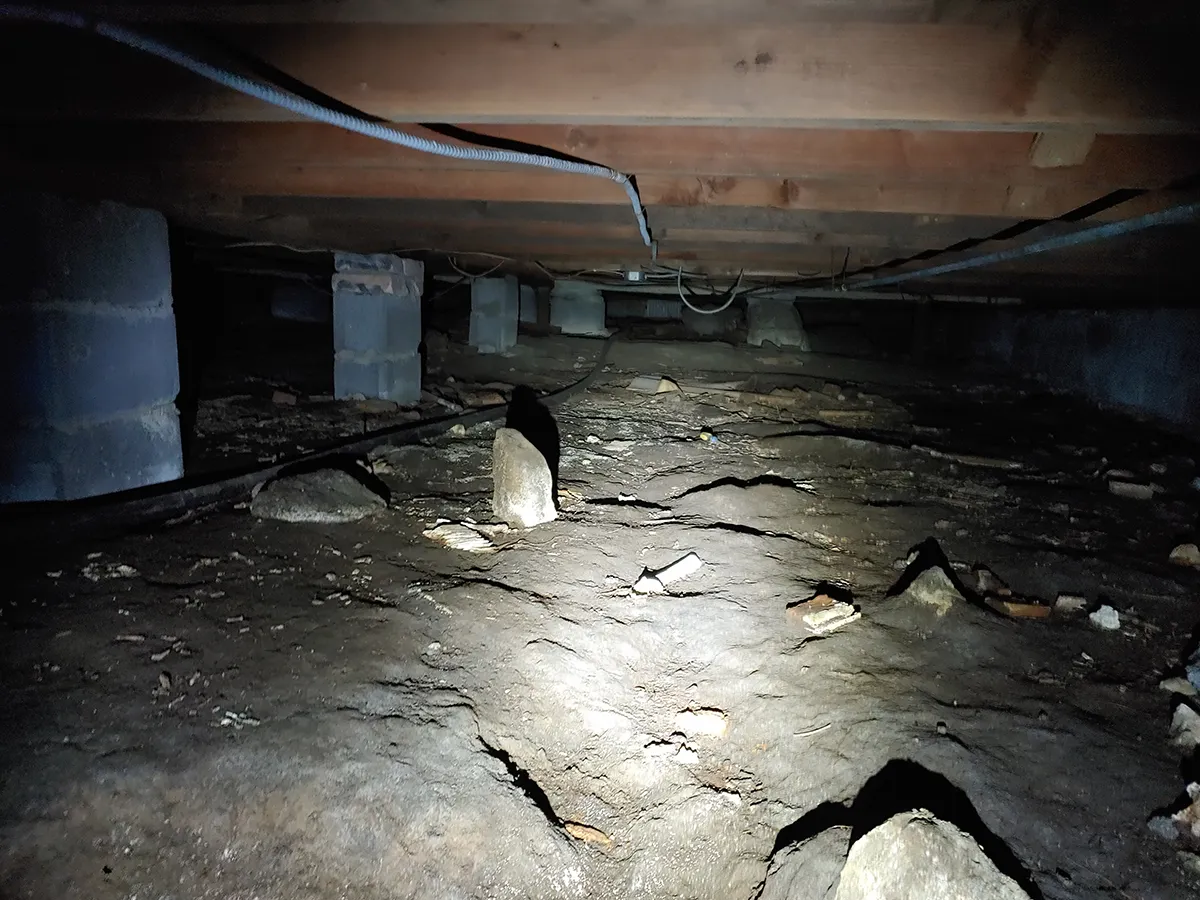 Mold Removal Companies Charlotte NC 3