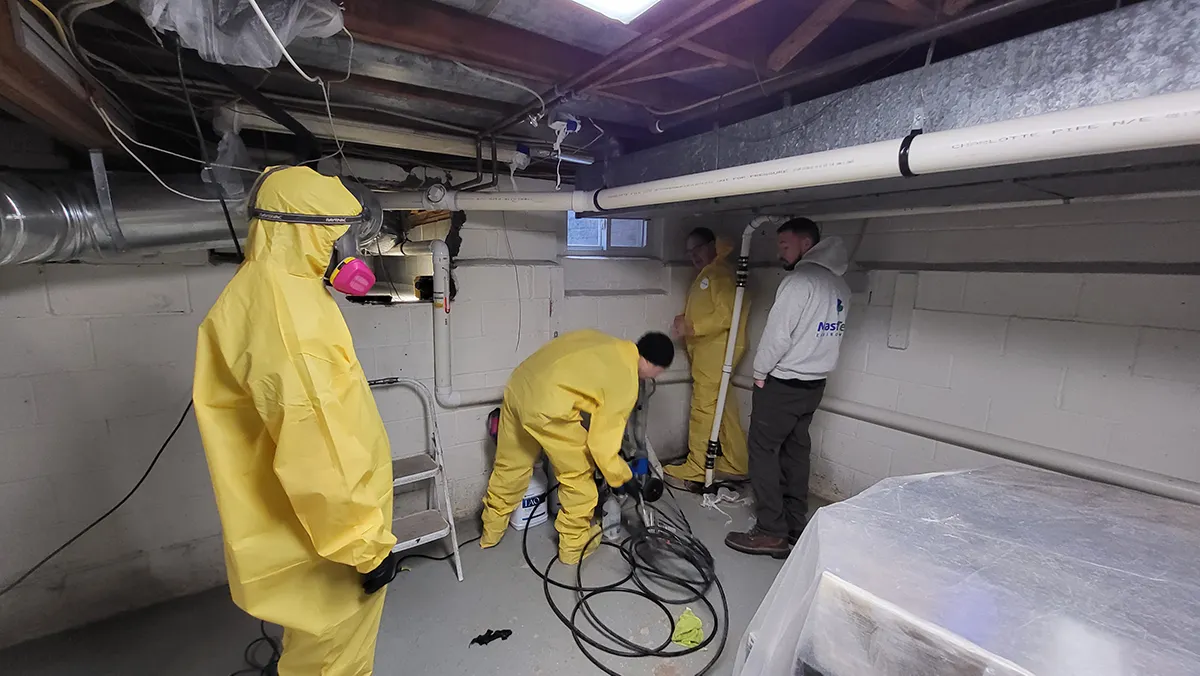 Mold Testing Charlotte NC 5