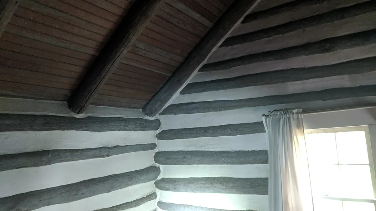 Charlotte mold remediation 2