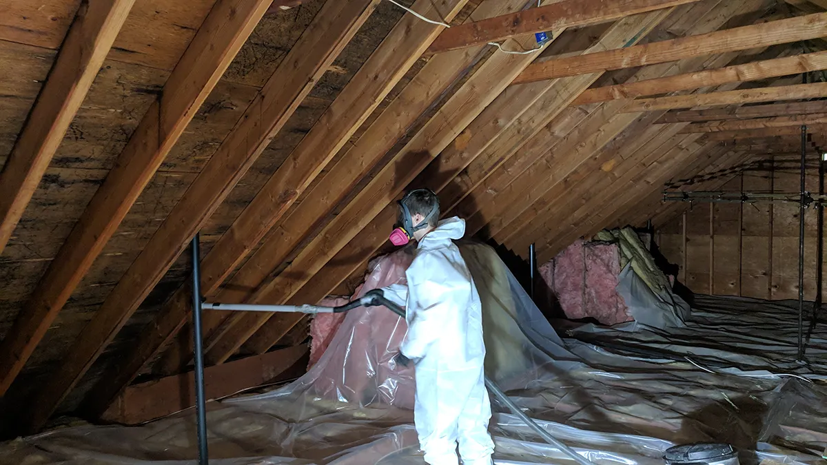 Charlotte mold remediation 3