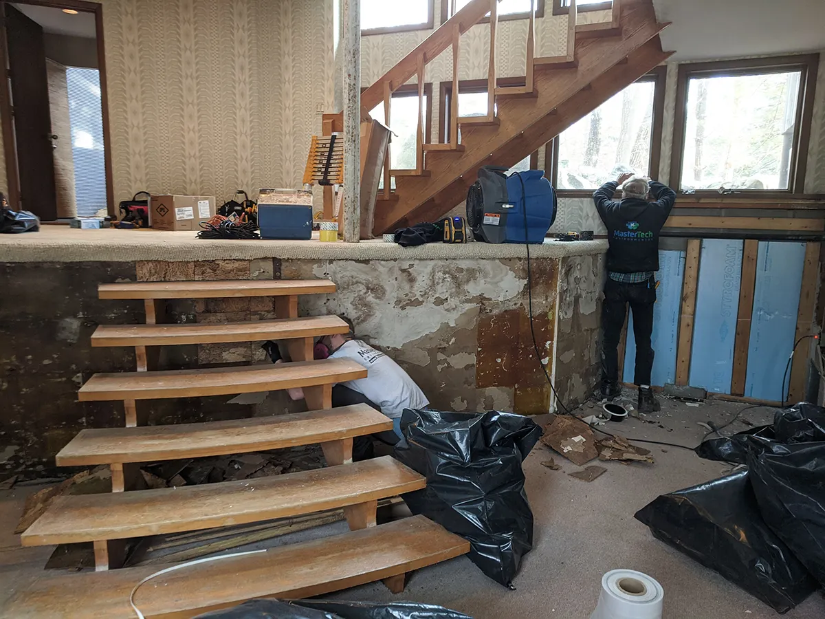 Charlotte mold remediation 4