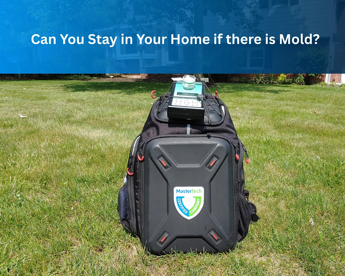 Mold Inspection Charlotte NC