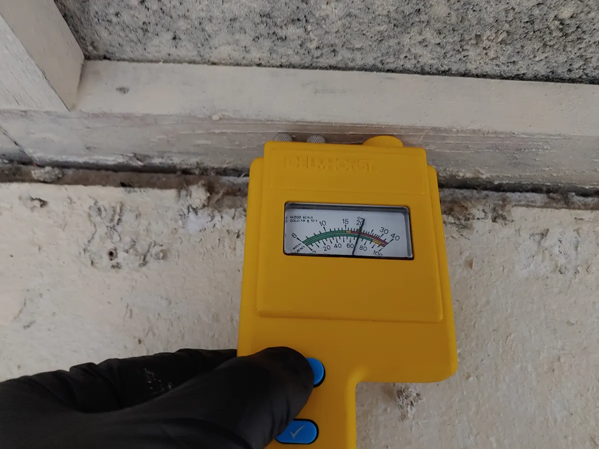 Mold Testing Charlotte NC 3