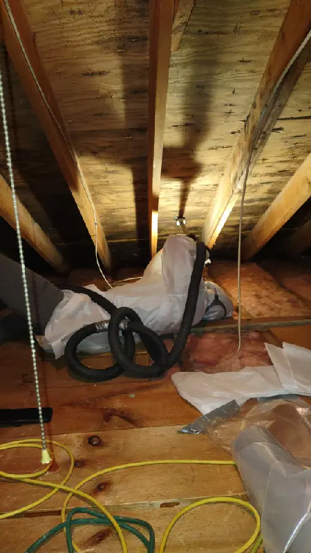 Charlotte Mold Remediation 2