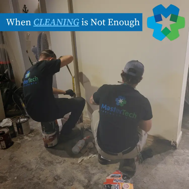 Charlotte Mold Remediation