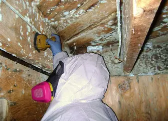 Mold Inspection Charlotte NC 2
