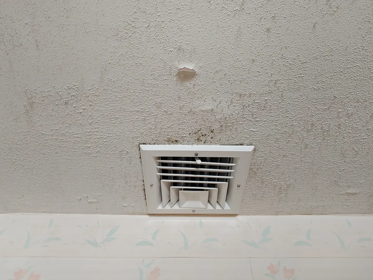 Mold inspection Charlotte NC 3