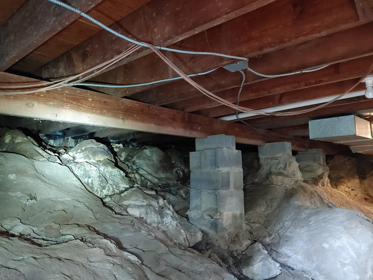 Mold Inspectors Charlotte NC 2