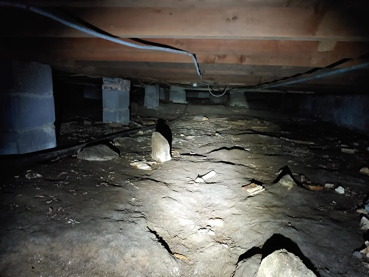 Mold Inspectors Charlotte NC 3