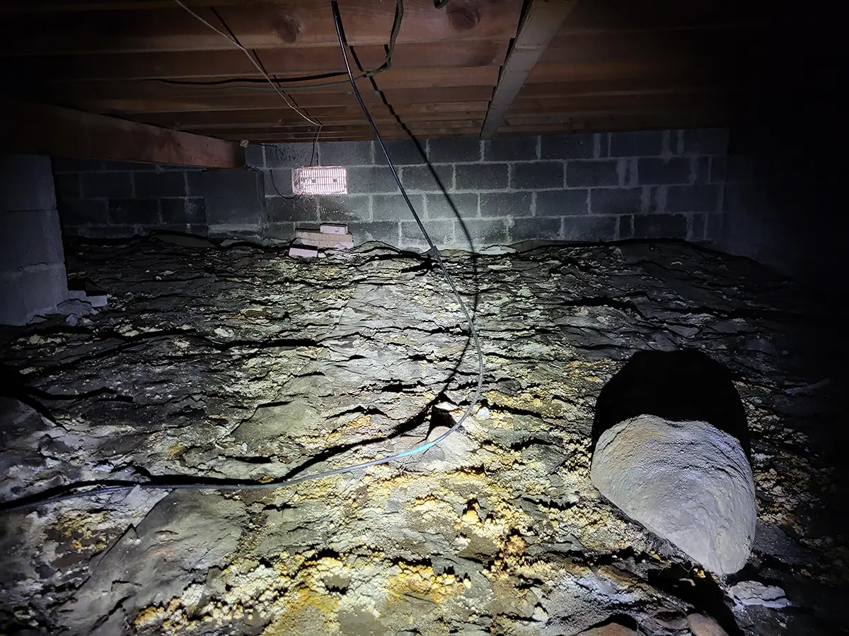 Mold Inspectors Charlotte NC 4