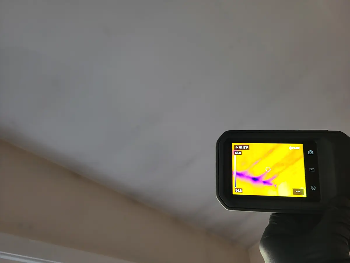 Mold Inspection Charlotte NC 3