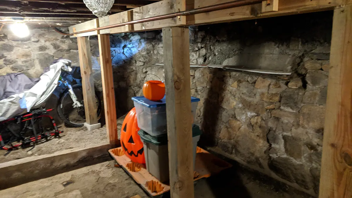 Mold Inspection Charlotte NC 4