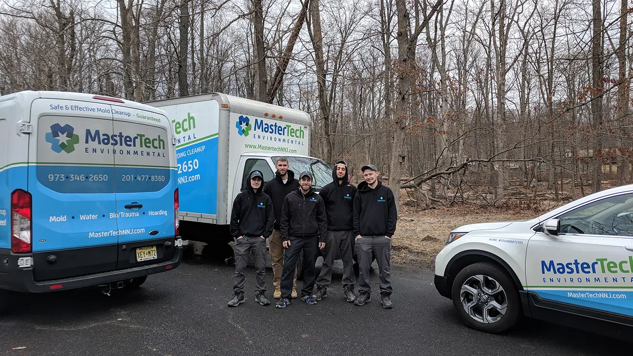 Mold Inspection Charlotte NC 3