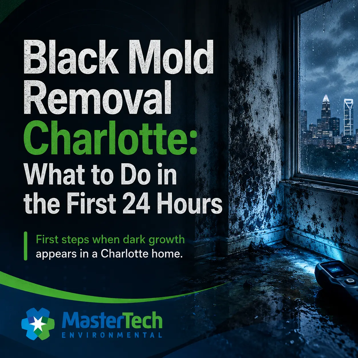 Mold Removal Companies Charlotte NC