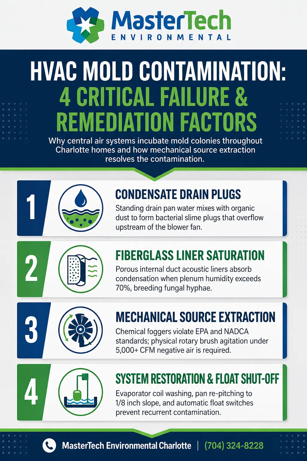 Charlotte Mold Remediation 2