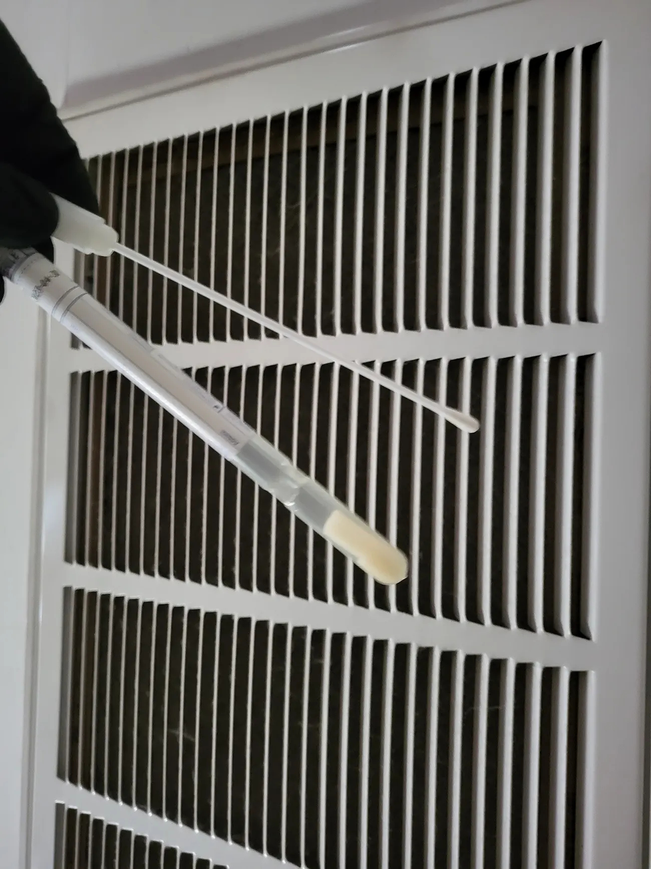 Charlotte Mold Remediation 3