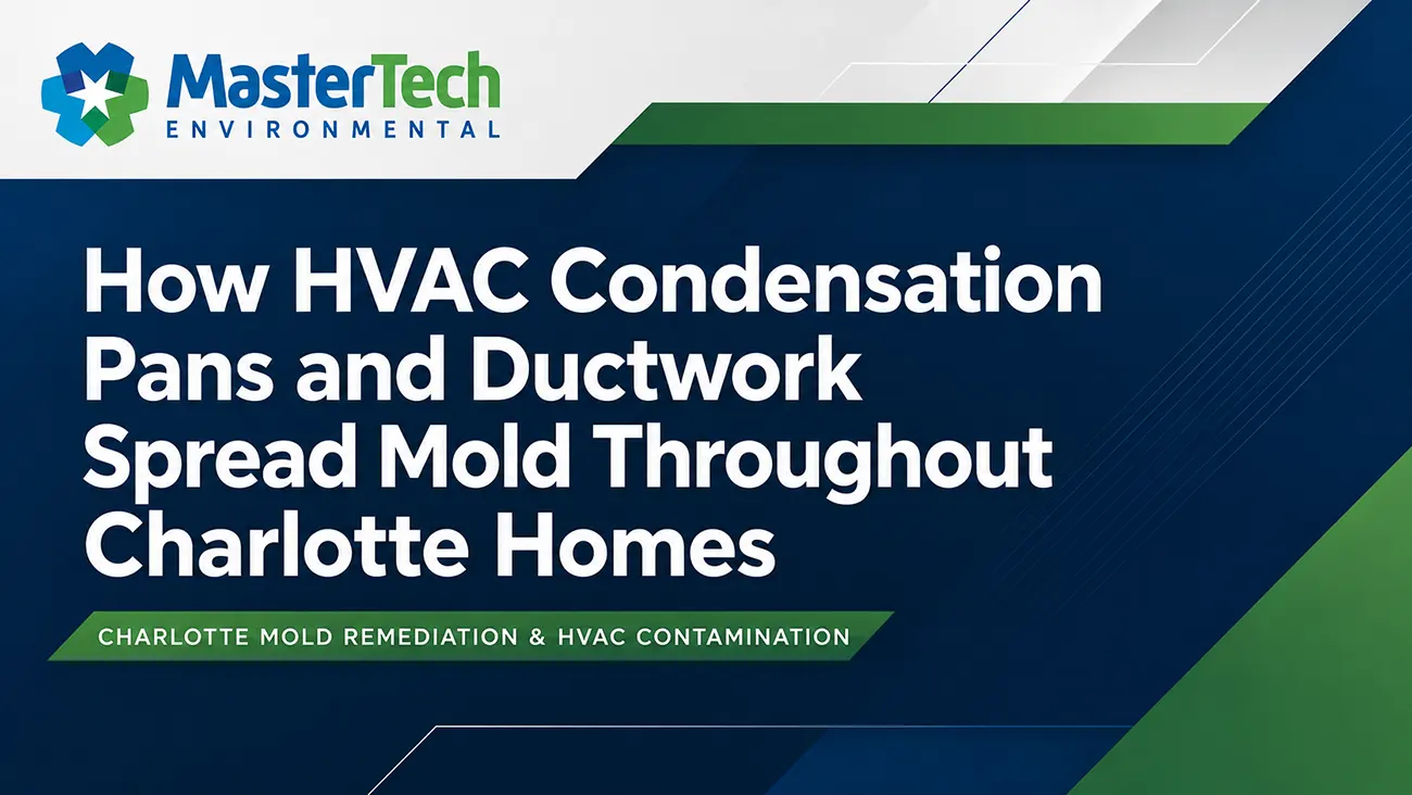 Can AC Drain Pan Leaks Cause Hidden Mold in Charlotte Homes?