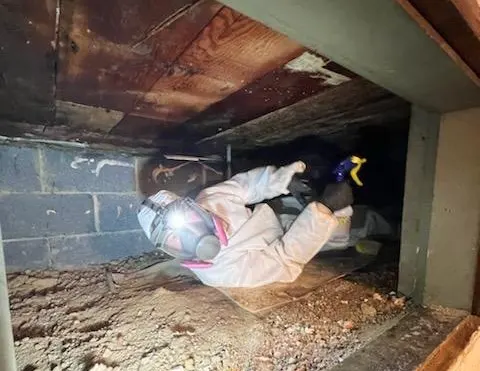 Mold Inspection Charlotte NC 3