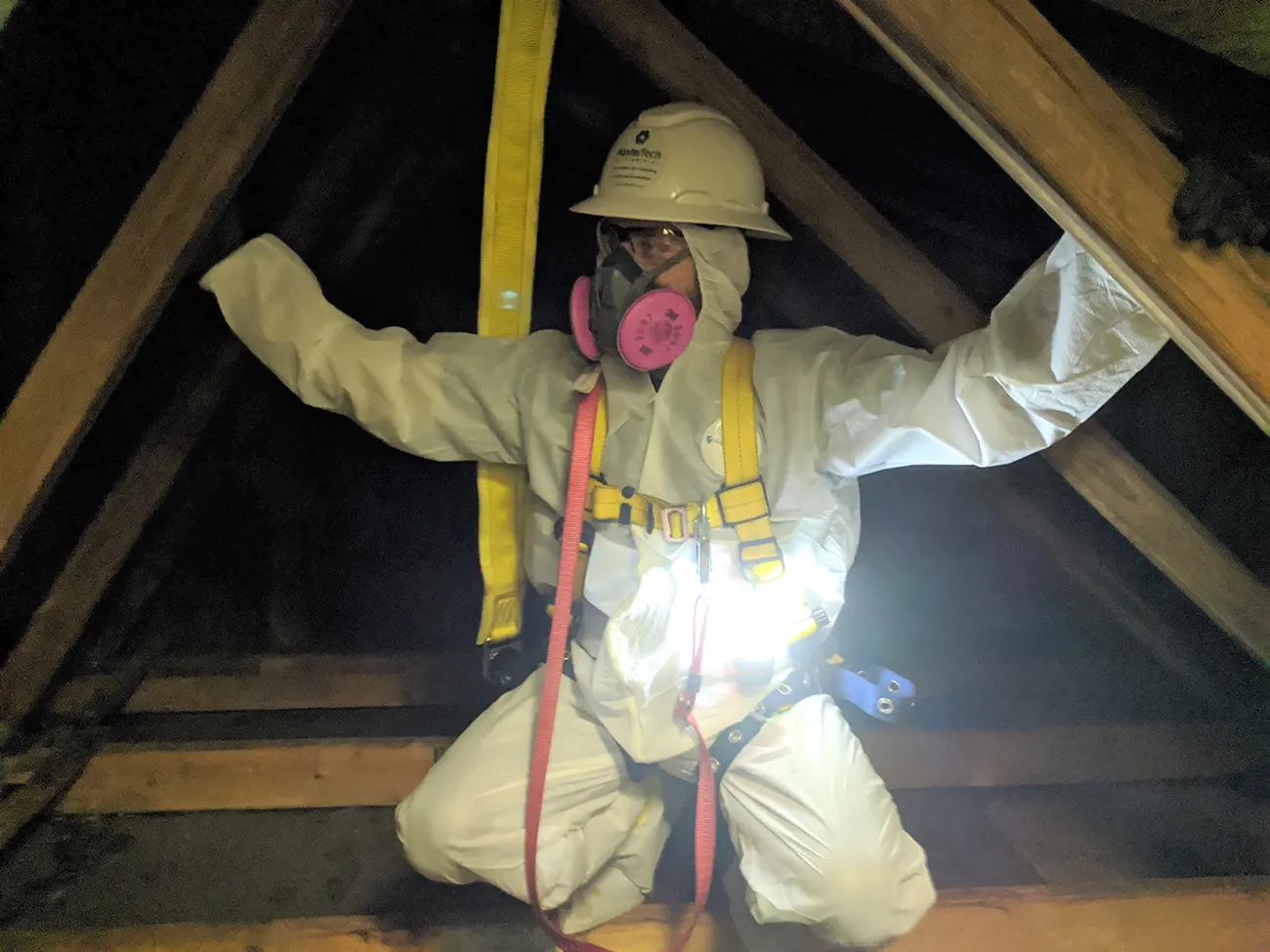 Mold Inspection Charlotte NC 4