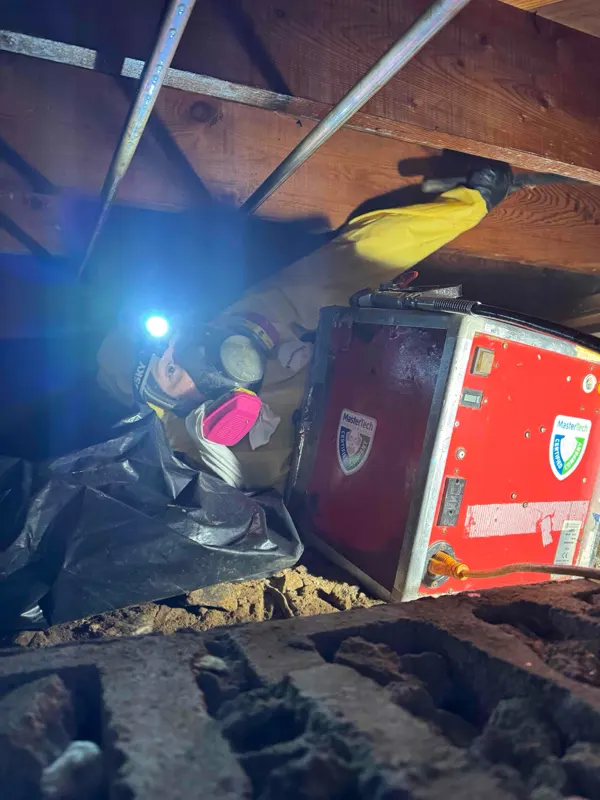 Mold Inspection Charlotte NC 5